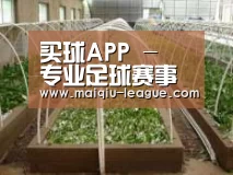 环境展示五