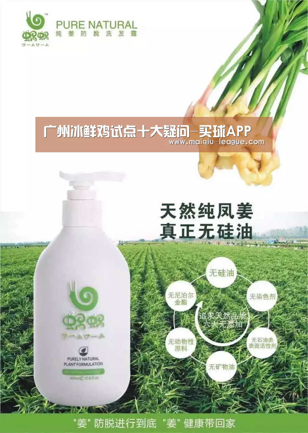 在线投注
